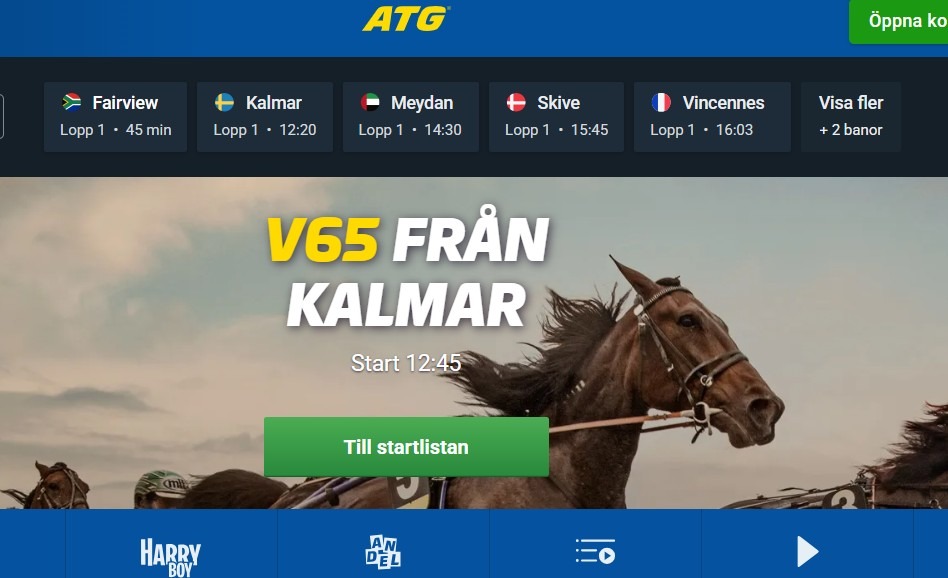 Så blir nya AI-assistenten på ATG.se | MKSE.com