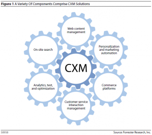 cxm portfolio adobe oracle ibm bestofbreed