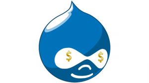 drupal enterprise