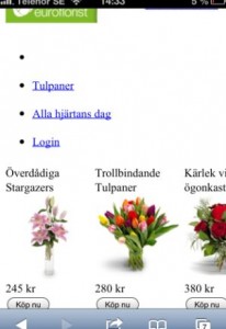 euroflorist interflora m-commerce